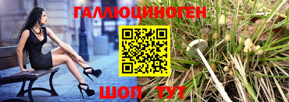Псилоцибиновые грибы мицелий  Галлюциногенные грибы Cubensis  сколько стоит  Узловая  Вход с VPN 