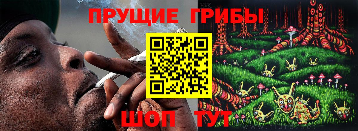 Узловая  Псилоцибиновые грибы Magic Shrooms  Галлюциногенные грибы прущие грибы  Вход с VPN 